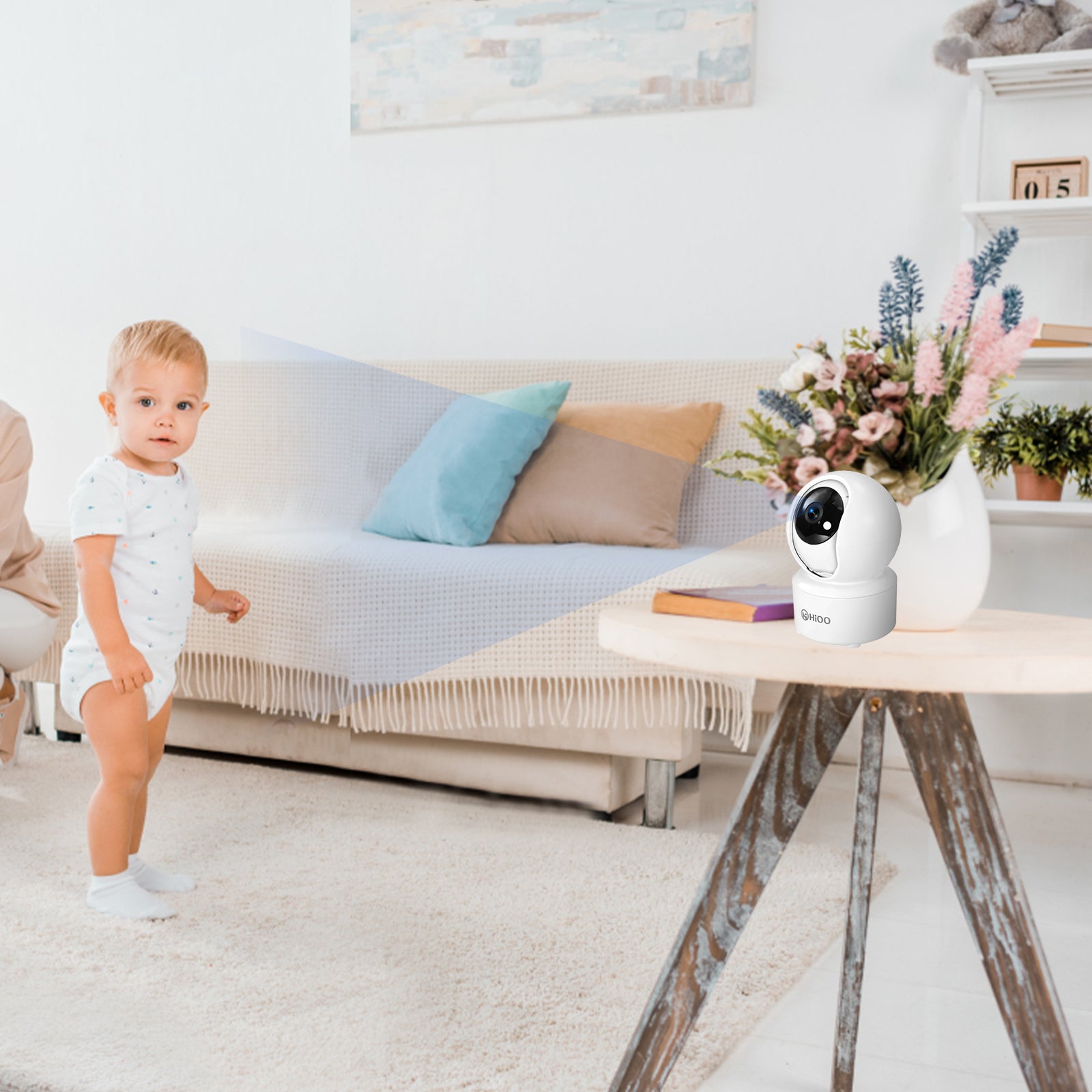 The Indispensable Role of Indoor Cameras in Modern Life